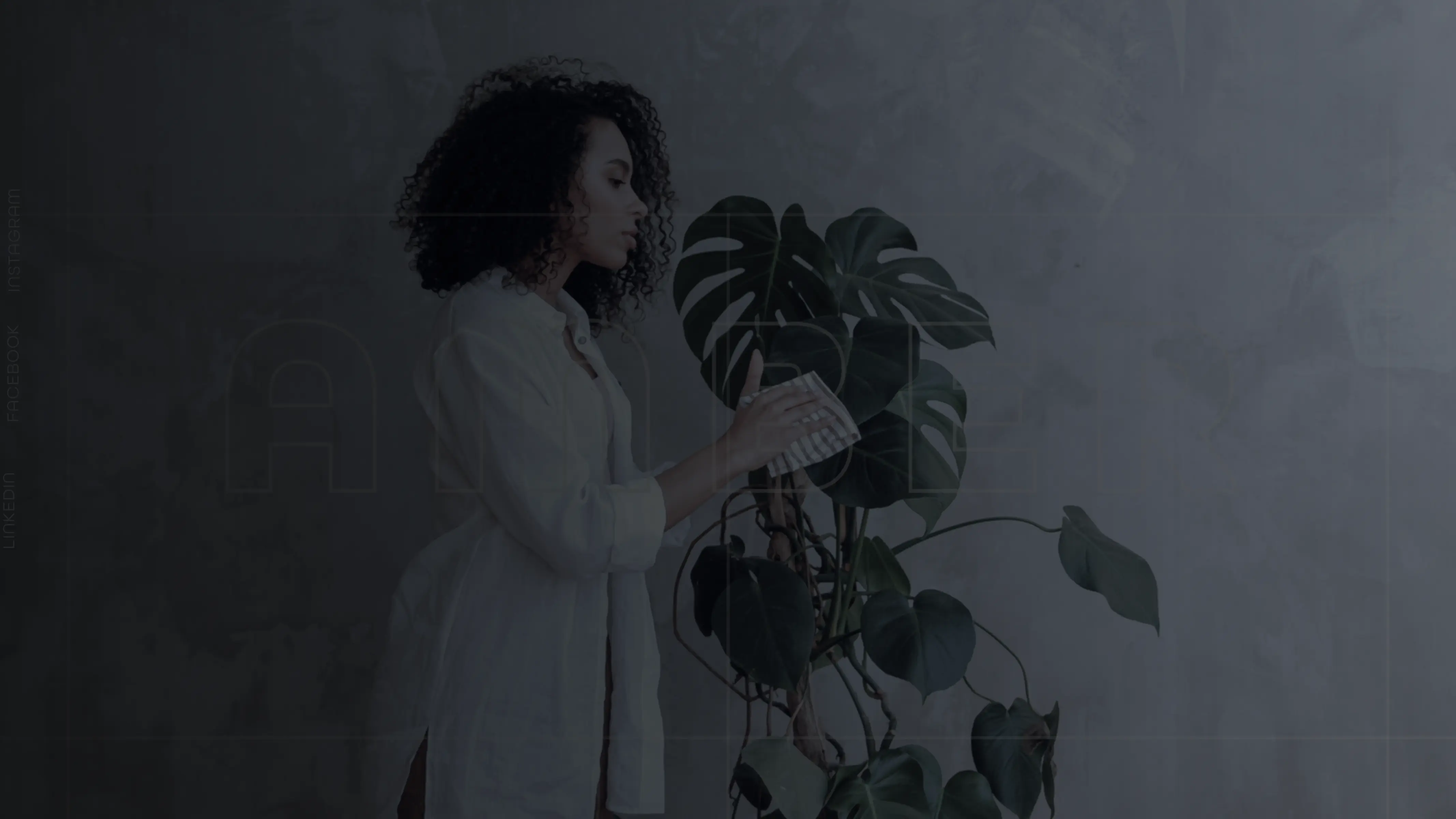 Scentabook banner